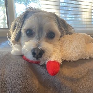 Meet your Posher, Molly